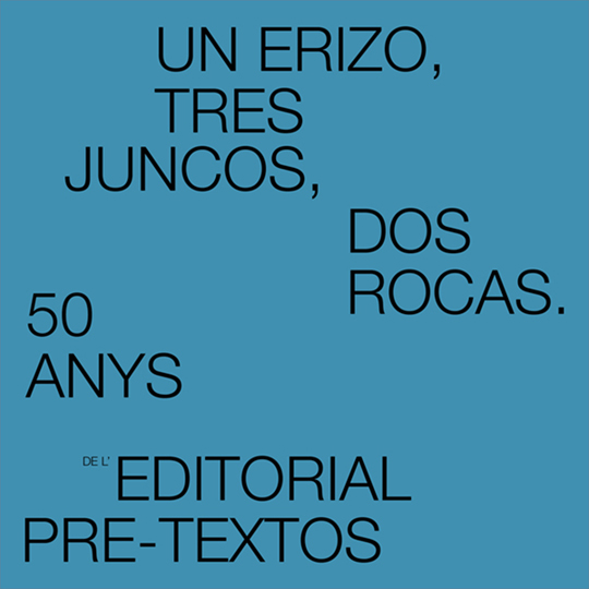 Cartell de l'exposició en fons blau